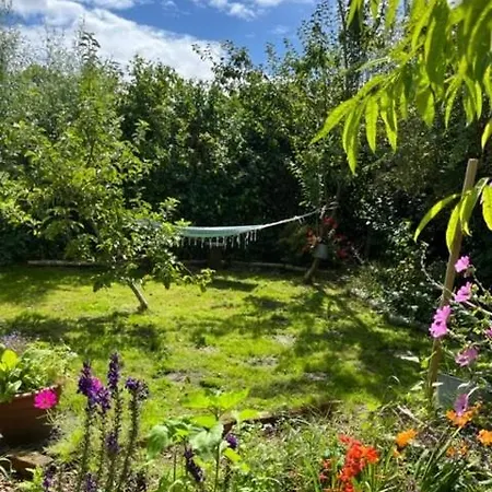 Rosa's Zonnige Bij Duinen Bos En *