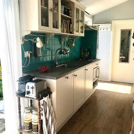 Rosa's Zonnige Bij Duinen Bos En Warmenhuizen