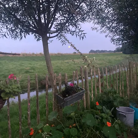 Rosa's Zonnige Bij Duinen Bos En * Warmenhuizen