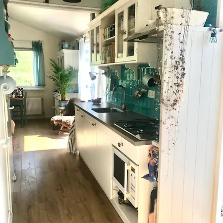 Holiday park Rosa's Zonnige Bij Duinen Bos En