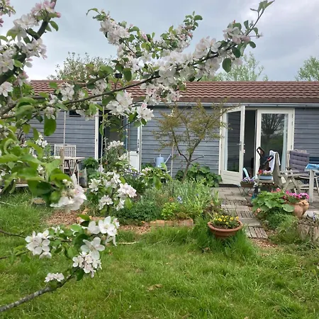 Holiday park Rosa's Zonnige Bij Duinen Bos En
