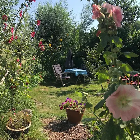 Rosa's Zonnige Bij Duinen Bos En Warmenhuizen