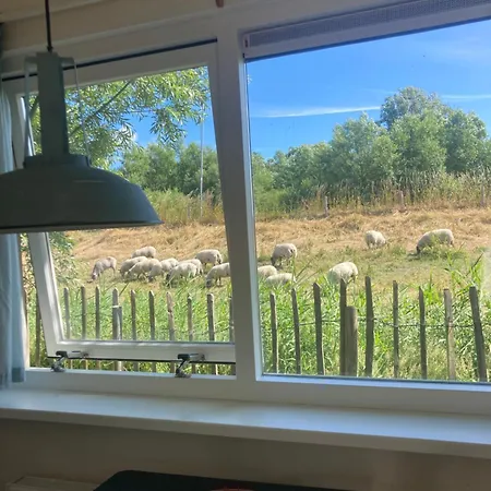 Rosa's Zonnige Bij Duinen Bos En * Warmenhuizen