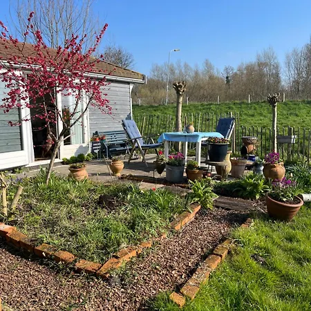 Rosa's Zonnige Bij Duinen Bos En Parco vacanze *