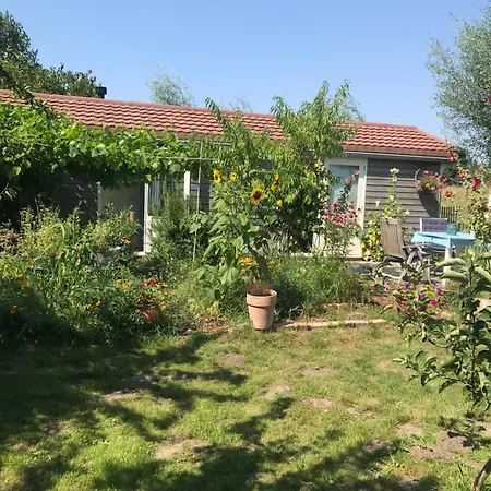 Rosa's Zonnige Bij Duinen Bos En Holiday park *