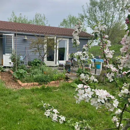Rosa's Zonnige Bij Duinen Bos En Holiday park Warmenhuizen