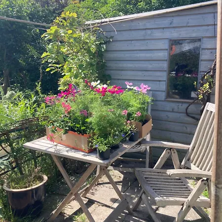 Parco vacanze Rosa's Zonnige Bij Duinen Bos En Warmenhuizen