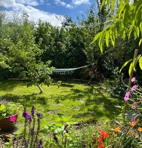 Rosa's Zonnige Bij Duinen Bos En *