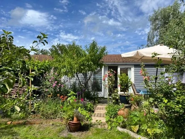 Rosa's Zonnige Bij Duinen Bos En Parco vacanze *