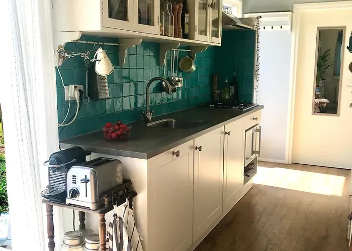 Rosa's Zonnige Bij Duinen Bos En Warmenhuizen