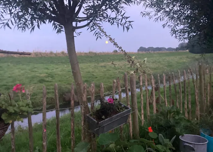 Rosa's Zonnige Bij Duinen Bos En * Warmenhuizen