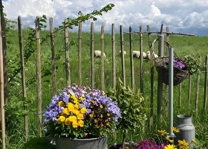 Rosa's Zonnige Bij Duinen Bos En Parco vacanze