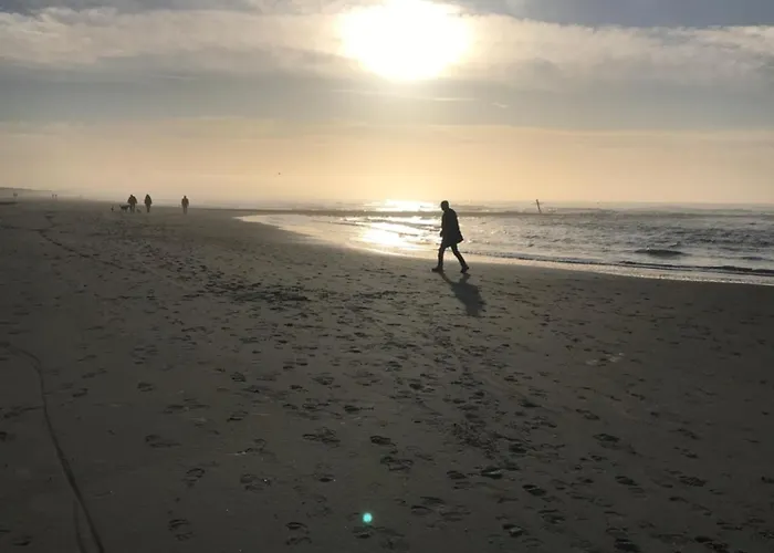 Rosa's Zonnige Bij Duinen Bos En Parco vacanze *