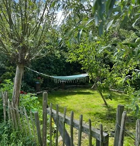 Rosa's Zonnige Bij Duinen Bos En * Warmenhuizen