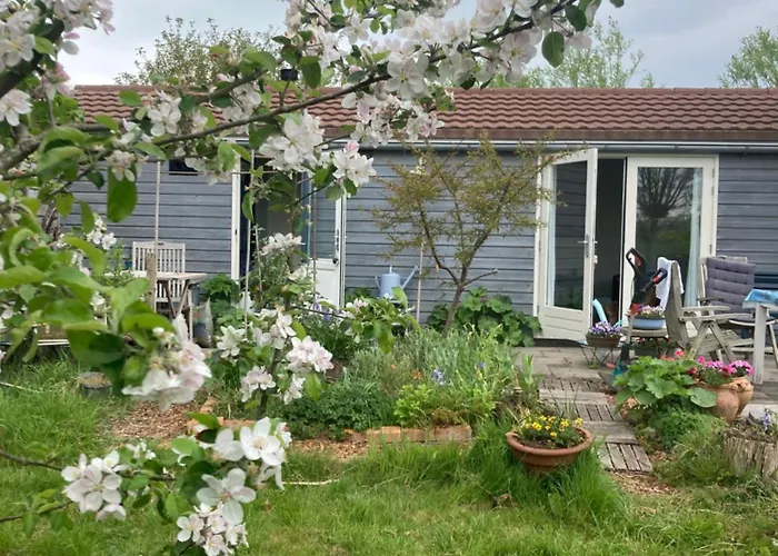 Parco vacanze Rosa's Zonnige Bij Duinen Bos En