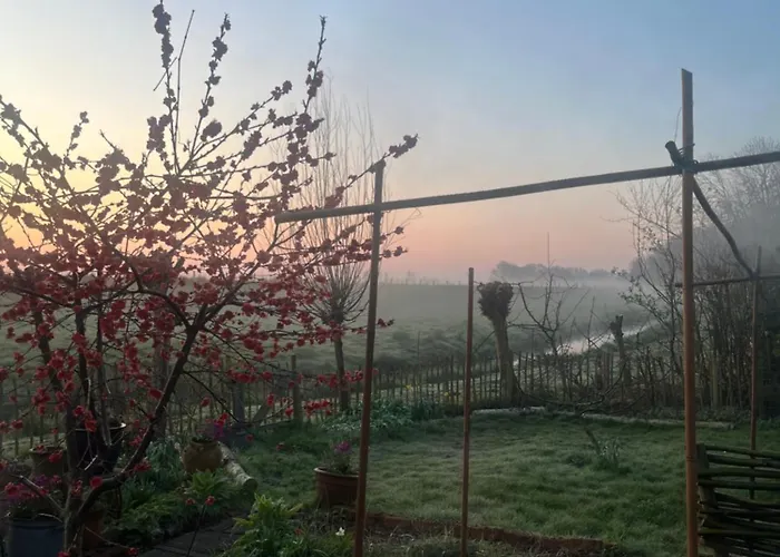 Rosa's Zonnige Bij Duinen Bos En * Warmenhuizen
