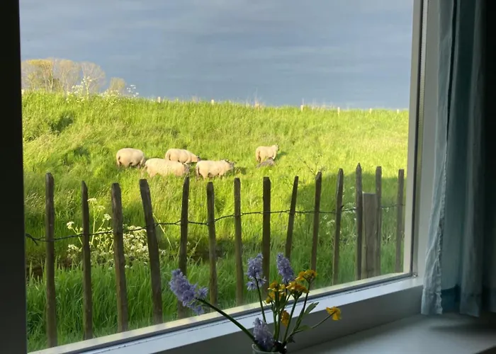 Rosa's Zonnige Bij Duinen Bos En Parco vacanze