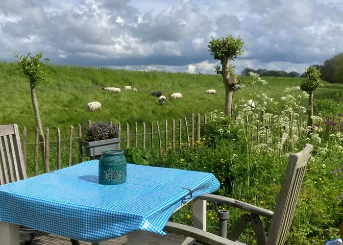 Rosa's Zonnige Bij Duinen Bos En Parco vacanze *