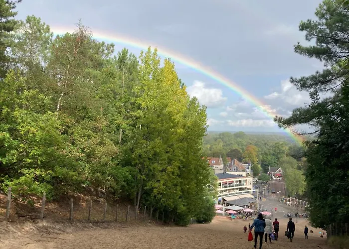 Rosa's Zonnige Bij Duinen Bos En Parco vacanze *