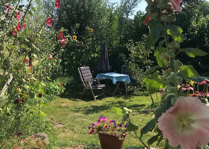 Rosa's Zonnige Bij Duinen Bos En Warmenhuizen