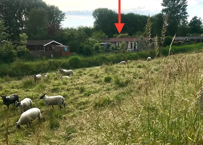 Parco vacanze Rosa's Zonnige Bij Duinen Bos En Warmenhuizen