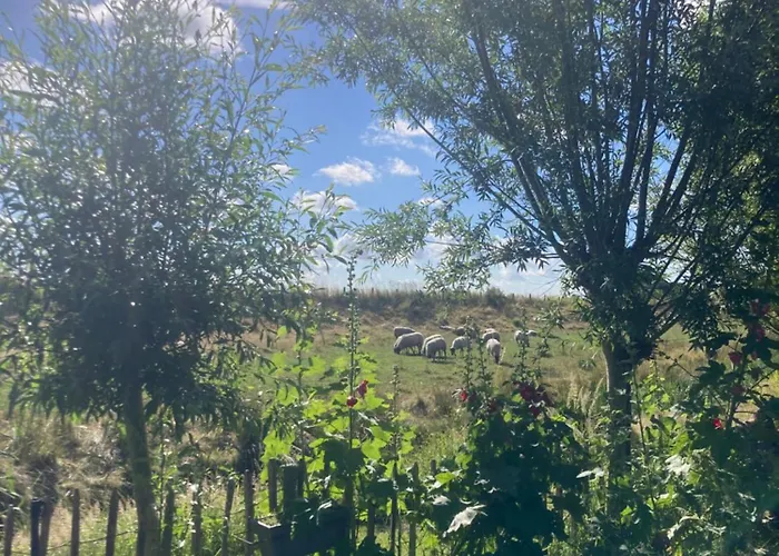 Rosa's Zonnige Bij Duinen Bos En Parco vacanze Warmenhuizen