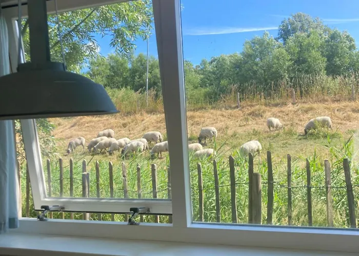 Rosa's Zonnige Bij Duinen Bos En * Warmenhuizen