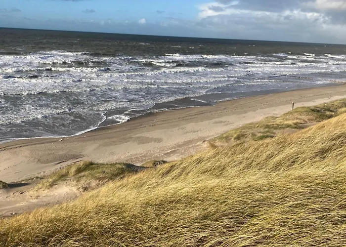Rosa's Zonnige Bij Duinen Bos En Parco vacanze Warmenhuizen