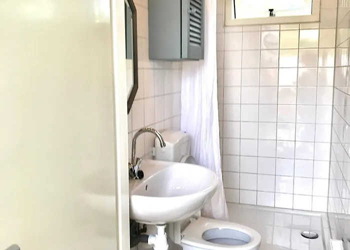 Rosa's Zonnige Bij Duinen Bos En *