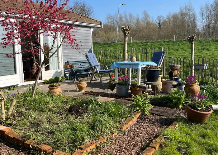 Rosa's Zonnige Bij Duinen Bos En Parco vacanze *