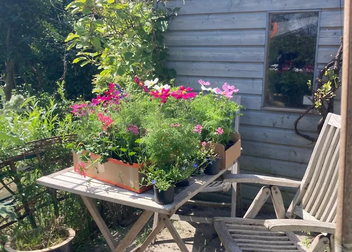 Parco vacanze Rosa's Zonnige Bij Duinen Bos En Warmenhuizen