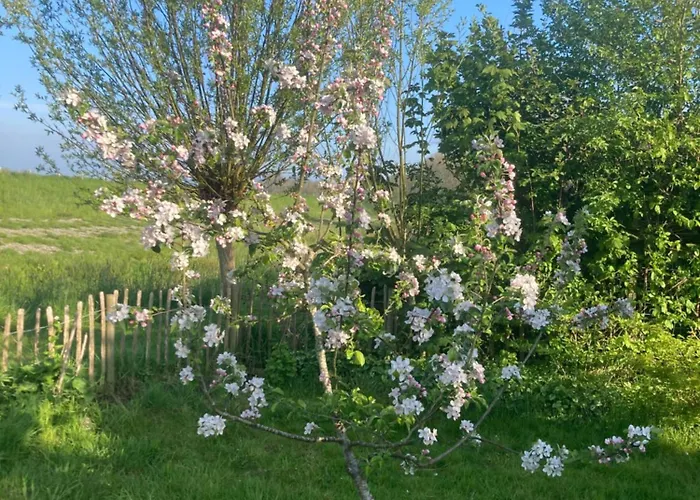 Parco vacanze Rosa's Zonnige Bij Duinen Bos En