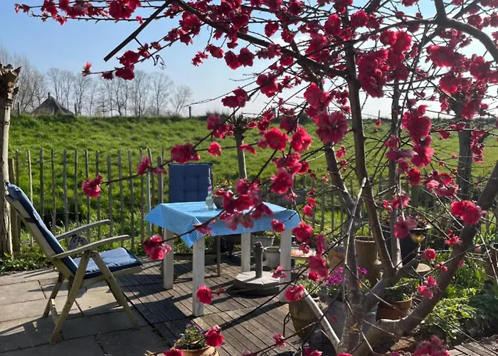 Parco vacanze Rosa's Zonnige Bij Duinen Bos En *