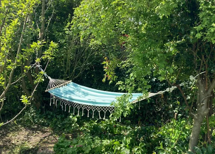 Parco vacanze Rosa's Zonnige Bij Duinen Bos En *