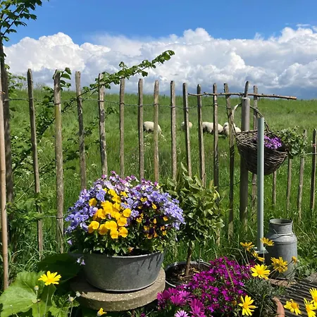 Rosa's Zonnige Bij Duinen Bos En Üdülőpark
