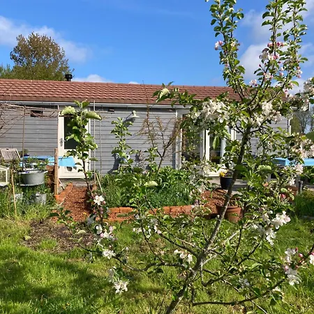 Rosa's Zonnige Bij Duinen Bos En *
