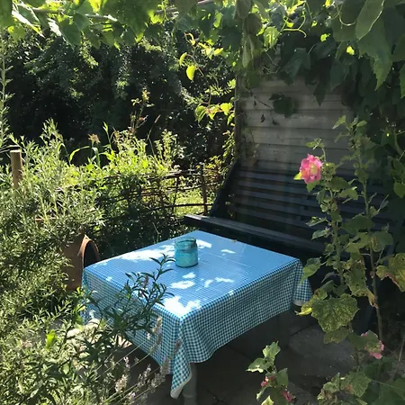 Rosa's Zonnige Bij Duinen Bos En Üdülőpark