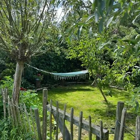 Rosa's Zonnige Bij Duinen Bos En * Warmenhuizen