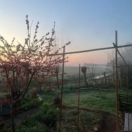 Rosa's Zonnige Bij Duinen Bos En * Warmenhuizen