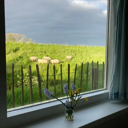 Rosa's Zonnige Bij Duinen Bos En Üdülőpark