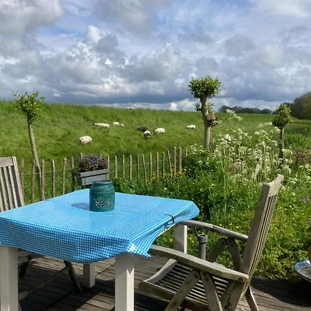 Rosa's Zonnige Bij Duinen Bos En Üdülőpark *