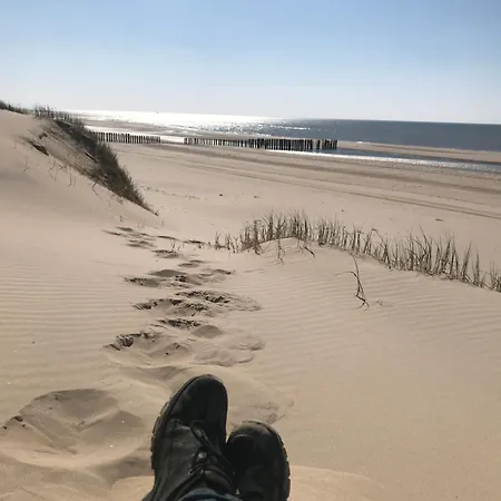 Rosa's Zonnige Bij Duinen Bos En *