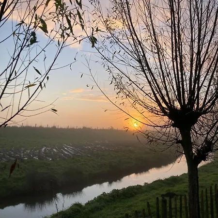 Rosa's Zonnige Bij Duinen Bos En