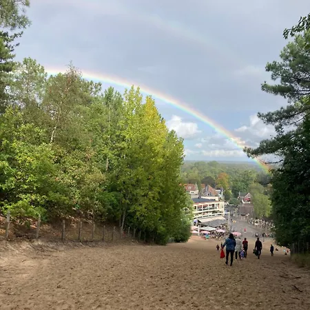 Rosa's Zonnige Bij Duinen Bos En Üdülőpark *