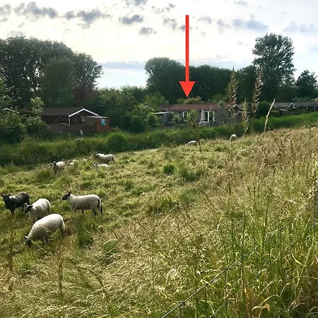 Üdülőpark Rosa's Zonnige Bij Duinen Bos En Warmenhuizen