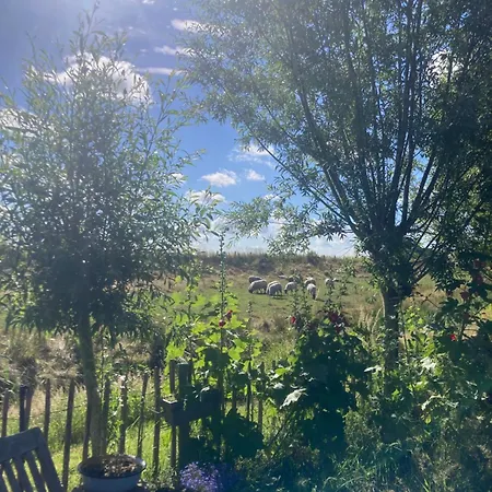 Rosa's Zonnige Bij Duinen Bos En Üdülőpark Warmenhuizen
