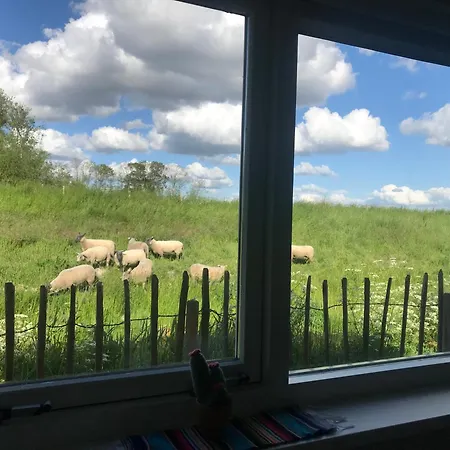 Rosa's Zonnige Bij Duinen Bos En