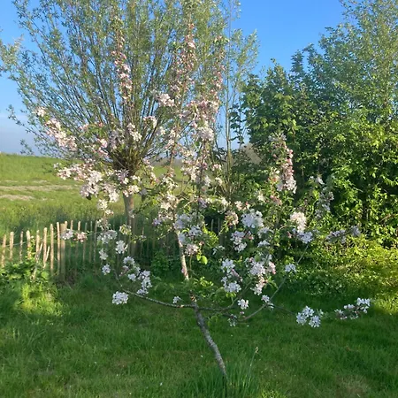 Üdülőpark Rosa's Zonnige Bij Duinen Bos En