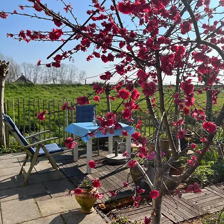 Üdülőpark Rosa's Zonnige Bij Duinen Bos En *