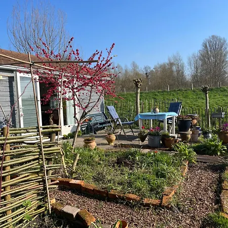 Rosa's Zonnige Bij Duinen Bos En Üdülőpark